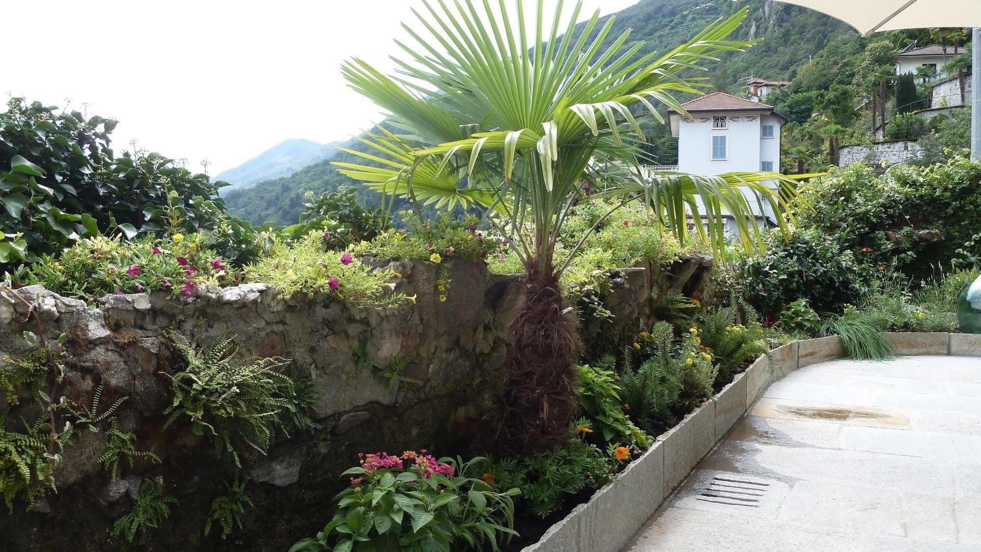 B&B Casa Forster Cannero Riviera Dış mekan fotoğraf